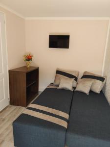um quarto com uma cama e uma televisão na parede em Ezüstfenyő Vendégház em Sárospatak