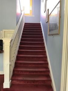 a staircase with red carpeting and a stair case at Dorstan House in Edinburgh