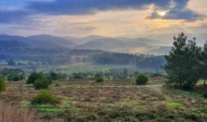 een uitzicht op een veld met bergen in de verte bij Charming modern country unit for rent in Tarum