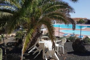 una mesa y sillas bajo una palmera cerca de una piscina en Appartement Bouganville rez-de-chaussée WIFI, en Costa de Antigua