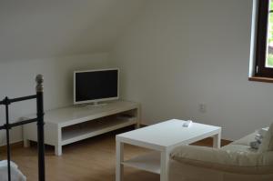 TV a/nebo společenská místnost v ubytování Apartmány pod lípou