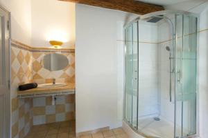 a bathroom with a glass shower and a sink at LA LEZARDIERE CHEZ HUGUES in Saint-Rémy-de-Provence +11 photos
