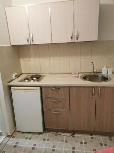 - une cuisine avec un évier et un comptoir dans l'établissement Apartments Familia, à Budva