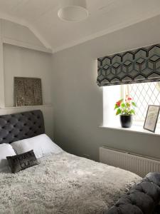 um quarto com uma cama e uma janela com uma planta em Peveril Cottage em Castleton