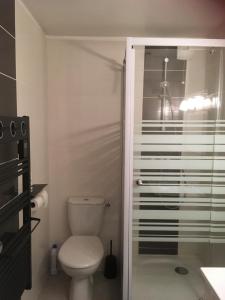 a bathroom with a toilet and a glass shower door at Appartement chalet Bellevue-pied de la montagne - Mont Dore in Le Mont-Dore +16 photos