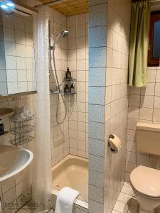 a bathroom with a shower and a sink and a toilet at Gartenwohnung an der Familienabfahrt in Brixen im Thale