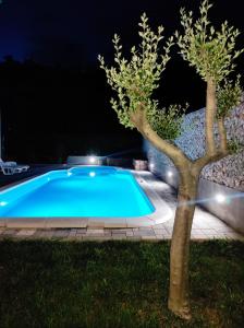 a swimming pool at night with a tree in the yard at Village holiday apartman with heated pool Maslina in Kostanje
