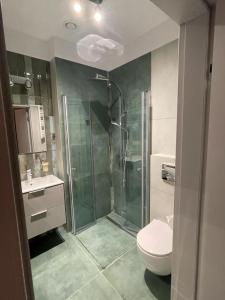 a bathroom with a glass shower and a toilet at Zielone Rozewie Park in Rozewie +39 photos