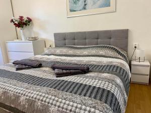 a bedroom with a bed with two pillows on it at Apartmán Linda Slapy- Ždáň in Slapy