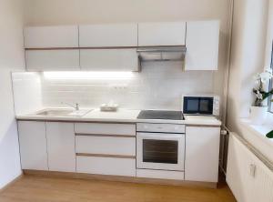 Kuchyň nebo kuchyňský kout v ubytování Apartmán Linda Slapy- Ždáň