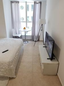 a bedroom with a bed and a television on a table at Luxury Kings Palace Private Room with Shared Kitchen Next To Barasti Beach in Dubai