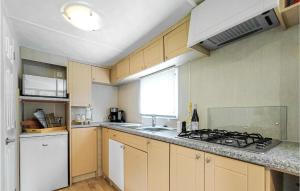Η κουζίνα ή μικρή κουζίνα στο Nice Home In Heinkenszand With Wifi