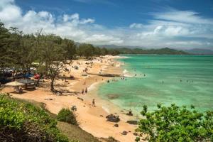 a beach with a bunch of people in the water at Paradise at Ehupua in Honolulu