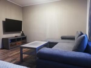 a living room with a couch and a tv at Apartmány Rosijo in Lednice
