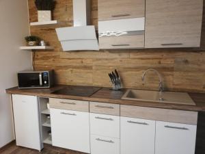 a kitchen with white cabinets and a sink at Apartmány Rosijo in Lednice