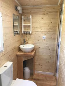 a bathroom with a sink and a toilet at ROULOTTE DE CHARME in Saint-Genest-de-Bauzon