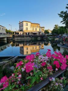 un grupo de flores en un río con edificios en L'Isle Ô Jardin, en LʼIsle-sur-la-Sorgue