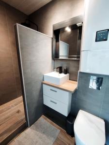 une salle de bain avec un lavabo, des toilettes et un miroir dans l'établissement Appartement Lila, à Carcassonne