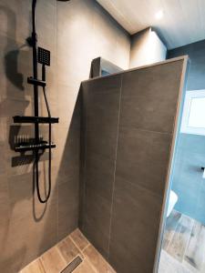 a shower in a bathroom with a shower at Appartement Lila - WI-FI, climatisation, café & petites attentions in Carcassonne +36 photos