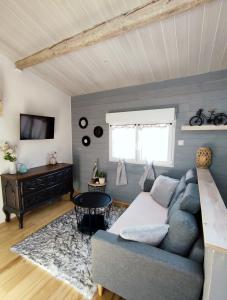 a living room with a couch and a tv at Appartement Lila in Carcassonne