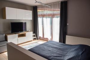 Televízia a/alebo spoločenská miestnosť v ubytovaní Vénusz Stúdió Apartman