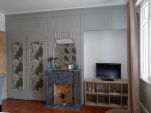 a living room with a tv and a fireplace at La Villa 30 in Lille