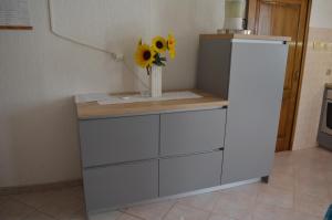 Kuchyňa alebo kuchynka v ubytovaní Rooms & Apartments Kvasić