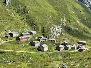 Príroda v okolí hotela