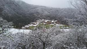 Príroda v okolí hotela
