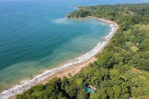 an aerial view of a beach with trees at awā Beachfront Hotel in Puerto Viejo