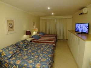 Habitación de hotel con 2 camas y TV de pantalla plana. en Videiras Palace Hotel, en Cachoeira Paulista