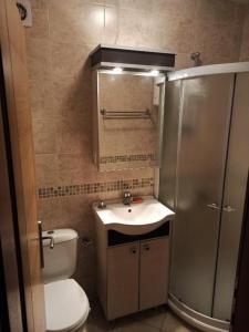 a bathroom with a toilet and a sink and a shower at Apartment Park in Vrnjačka Banja +8 photos