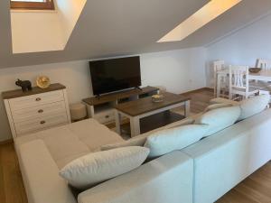TV a/nebo společenská místnost v ubytování Apartman Mujo