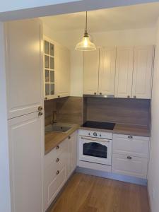 Kuchyň nebo kuchyňský kout v ubytování Apartman Mujo