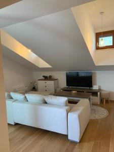 TV a/nebo společenská místnost v ubytování Apartman Mujo