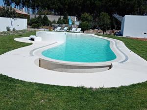 a swimming pool in a grassy yard with a poolvisor at Apartamento, wi-fI, terrasse in Vagos