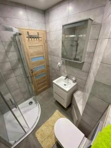 een badkamer met een toilet, een wastafel en een douche bij NOVÝ HORSKÝ APARTMÁN v Jizerských Horách in Hejnice