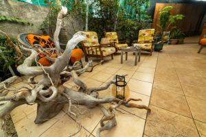 Foto sihtkohas Faaa asuva majutusasutuse Manaeva lodge galeriist