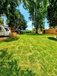 a yard with a tent and trees andgrass at Glamping Beit Yanai in Bet Yannay