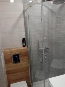 W łazience znajduje się prysznic ze szklanymi drzwiami. w obiekcie Słoneczne Planty w mieście Zamość