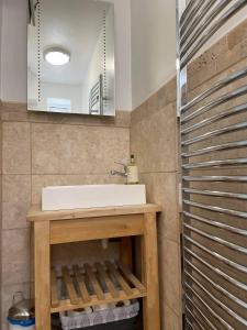 a bathroom with a sink and a mirror at 43 annexe in Newquay