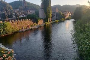 ein Fluss in einer Stadt mit Häusern und einer Stadt in der Unterkunft Clos Saint Jacques in Thann