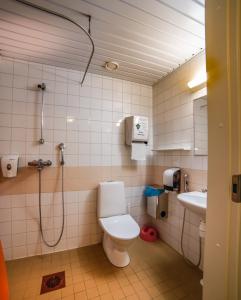 a bathroom with a toilet and a shower and a sink at Marttinen in Virrat