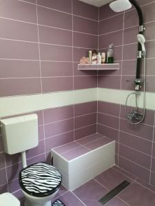 Un baño de Kuca za odmor Simic