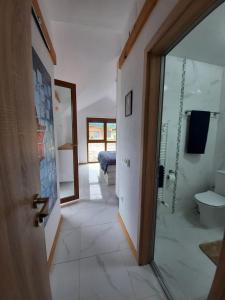 A bathroom at Mountain Villa near Bansko