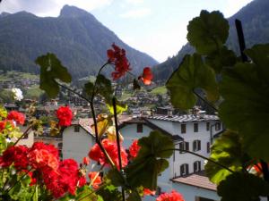 Vista generica sulle montagne o vista sulle montagne dall'interno dell'appartamento