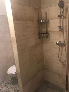 La salle de bains est pourvue d'une douche et de toilettes. dans l'établissement chata Modrá, à Vinné