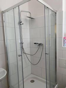 a shower with a glass door in a bathroom at Pension Goldener Drache in Hohekreuz
