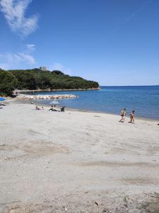 Táj Show holiday homes közelében