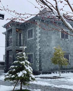 a house with a christmas tree in the snow at Iballe Guesthouse in Pukë